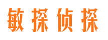 共青城敏探私家侦探公司